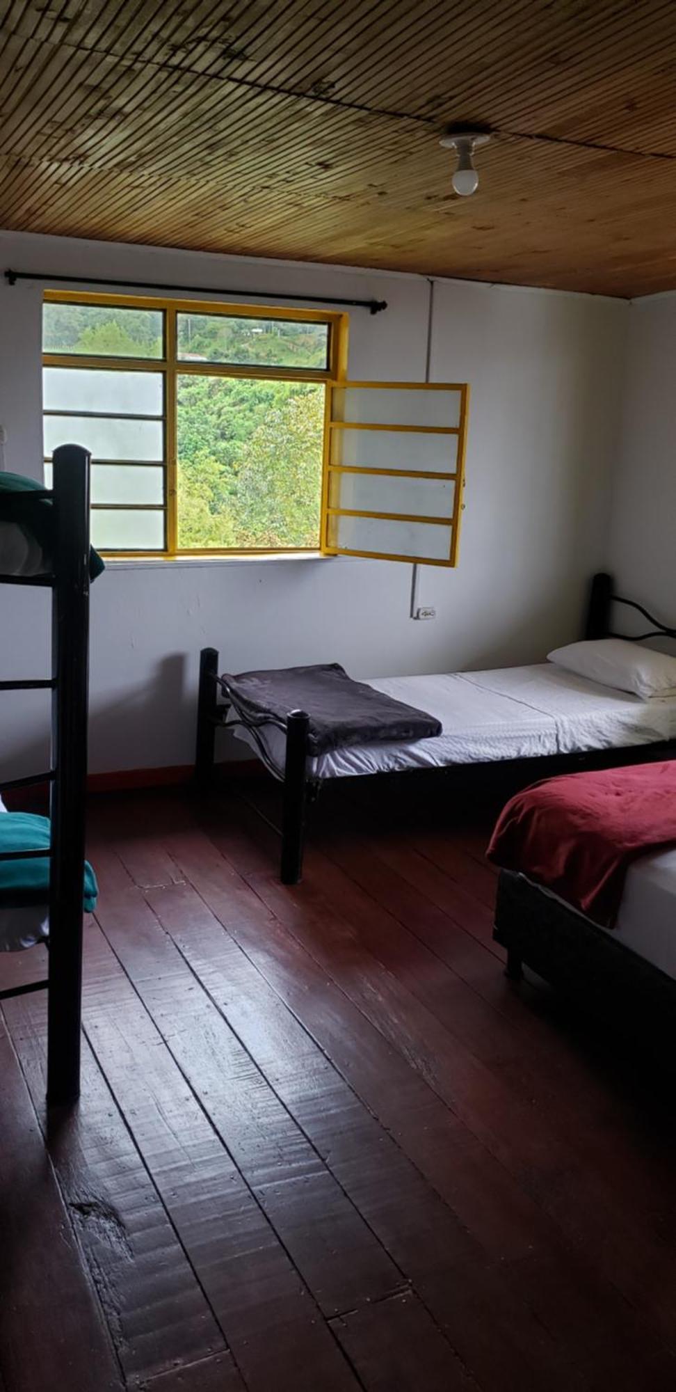 Palma De Cera Hostal Salento Quarto foto
